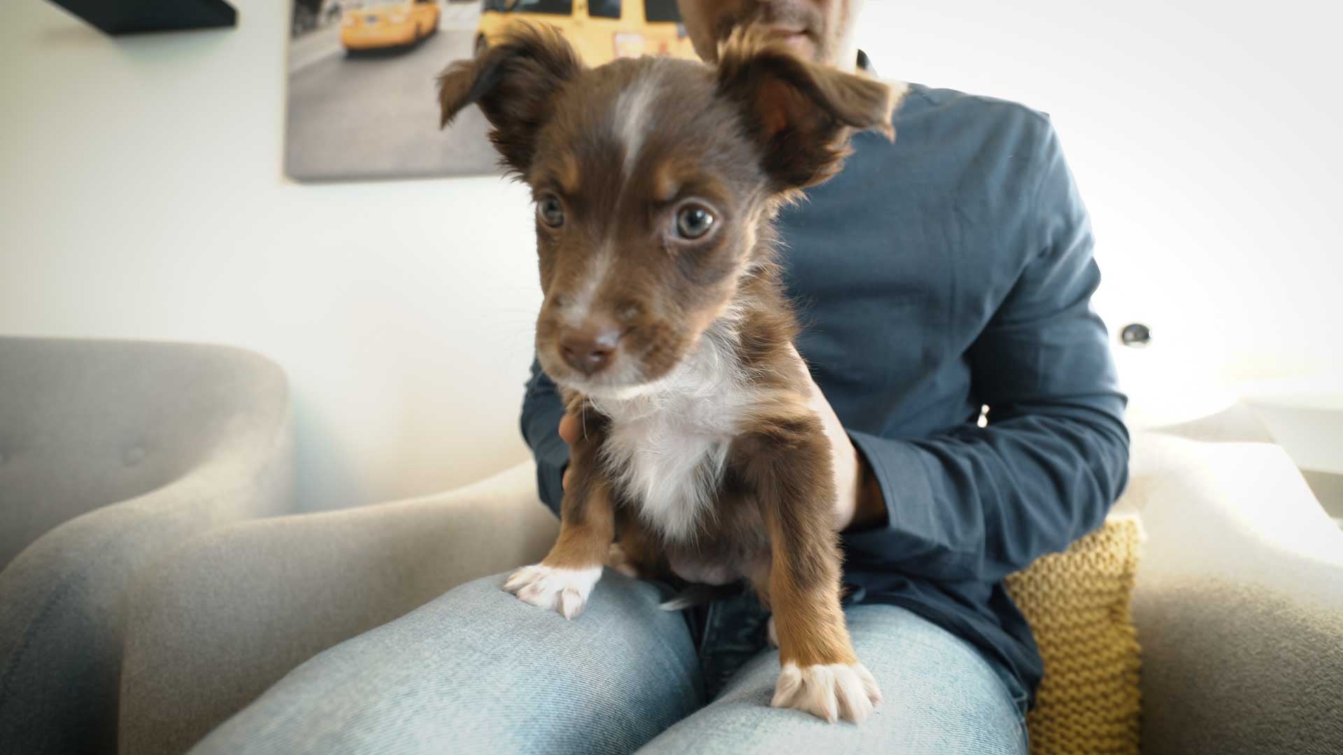 Tour the New NOVO Office & Meet Our Mascot