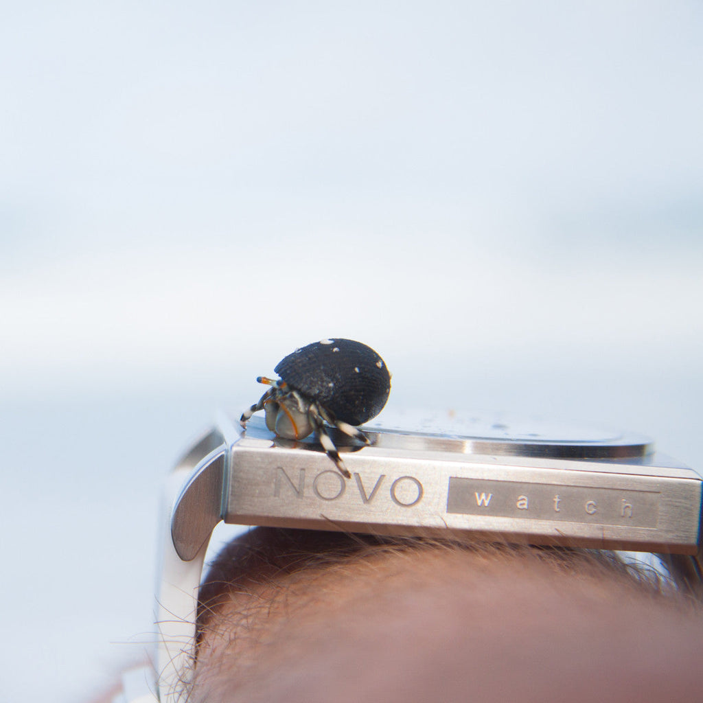 Unknown - Silver & White (Refurbished)