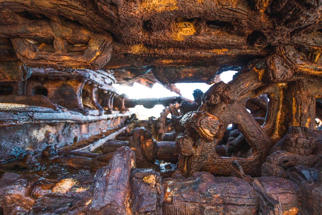 THE S.S. DOMINATOR - 1944